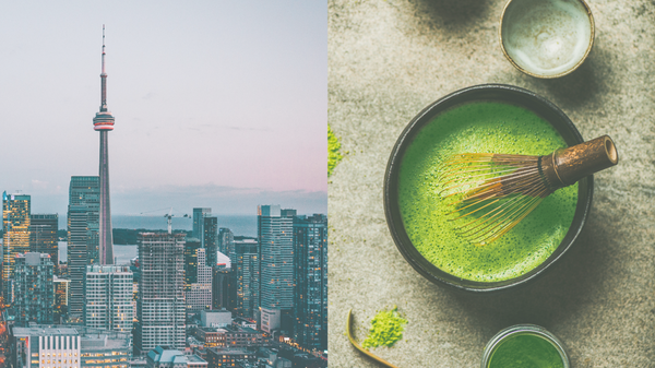 Where to Buy Matcha in Toronto