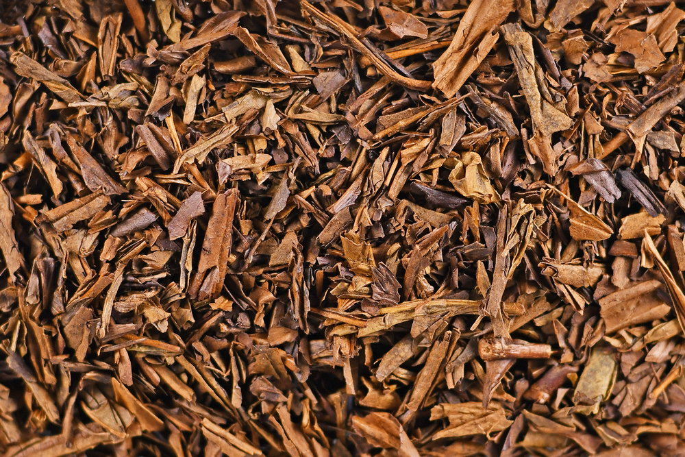 DōMatcha®'s Award Winning Organic Green Teas
