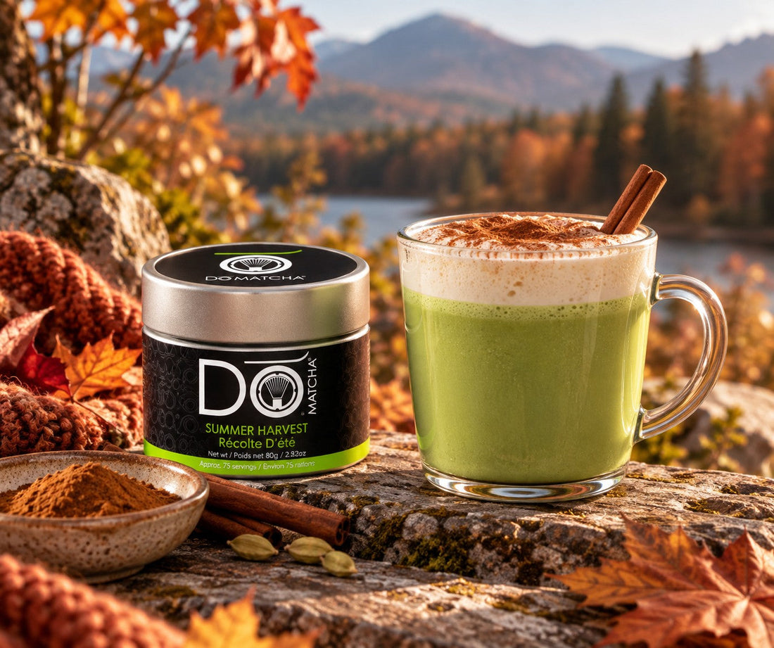 Matcha Drinks for a Cozy Fall