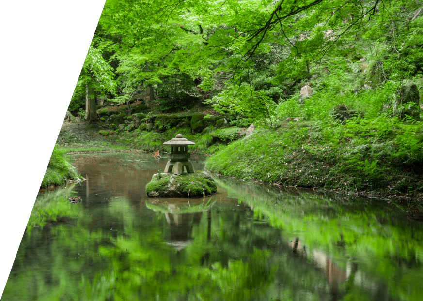 DōMatcha® | The Authentic Japanese Matcha